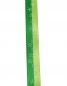 Preview: Satinband zweifarbig grün mit Blumendruck 15mm breit, 20m
